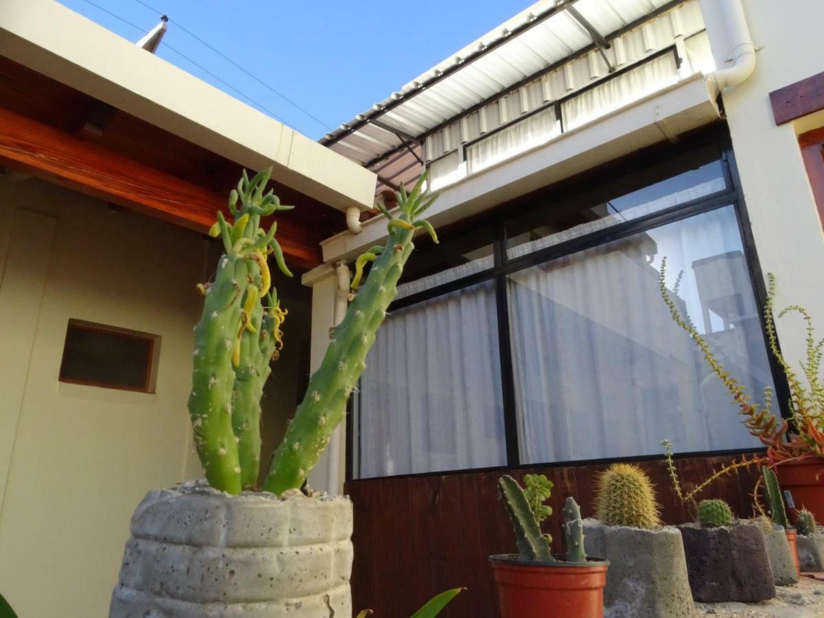 Casa Cactus Cafayate Hotell Eksteriør bilde